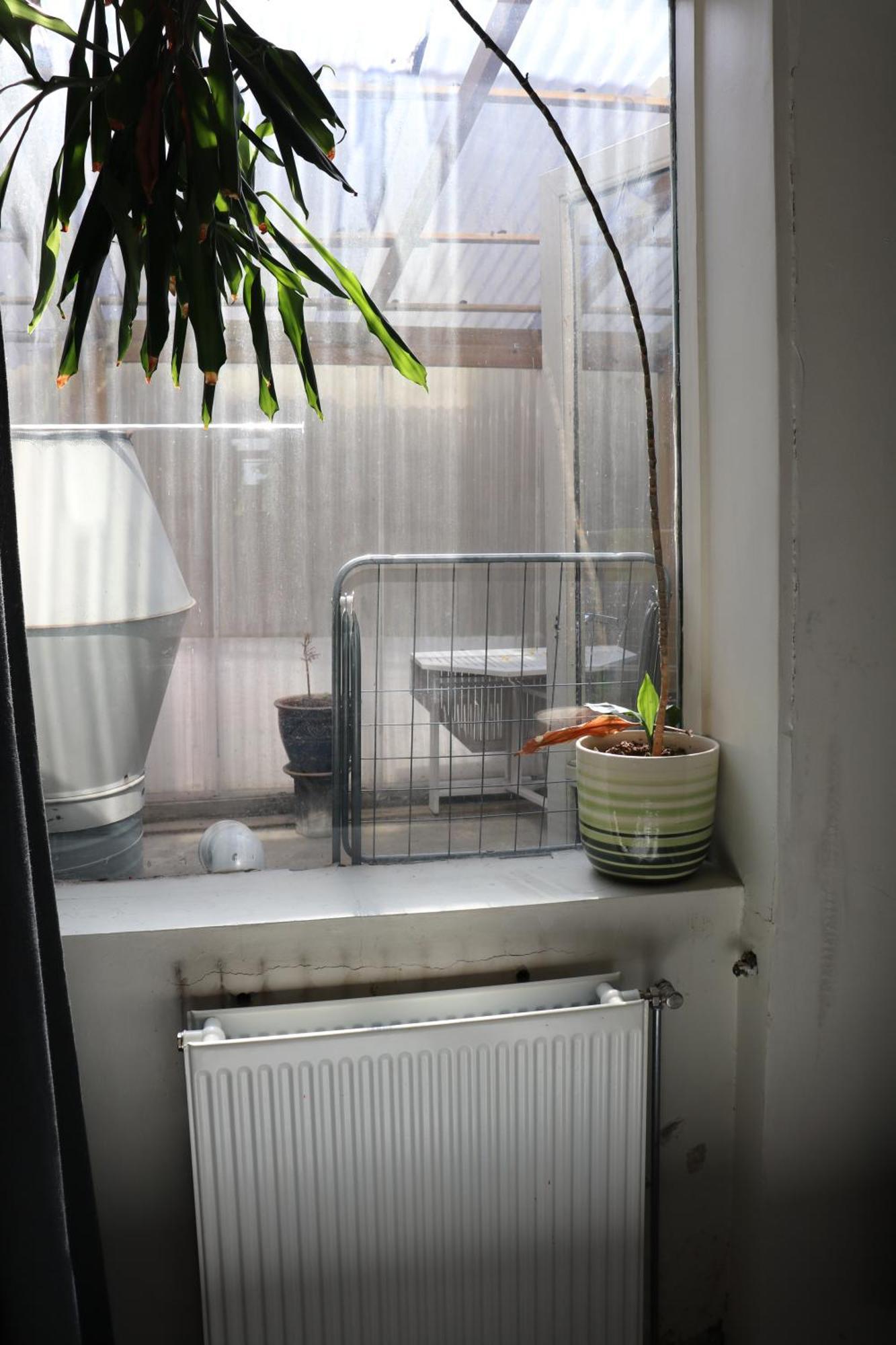 Appartement Impundu antique locale à Reykjavik Extérieur photo